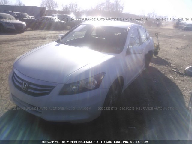 1HGCP2F46BA078862 - 2011 HONDA ACCORD LXP WHITE photo 2