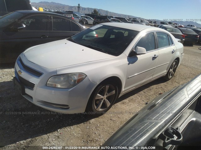 1G1ZC5E08CF111281 - 2012 CHEVROLET MALIBU 1LT თეთრი ფოტო 2