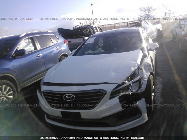 5NPE34AB3FH242197 - 2015 HYUNDAI SONATA SPORT/LIMITED WHITE photo 6