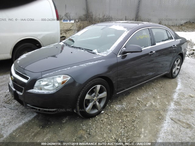 1G1ZC5E1XBF269273 - 2011 CHEVROLET MALIBU 1LT GRAY photo 2