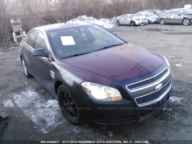 1G1ZA5E05AF201300 - 2010 CHEVROLET MALIBU LS 栗色 照片 1