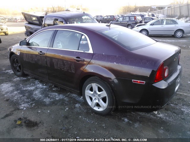 1G1ZA5E05AF201300 - 2010 CHEVROLET MALIBU LS 栗色 照片 3