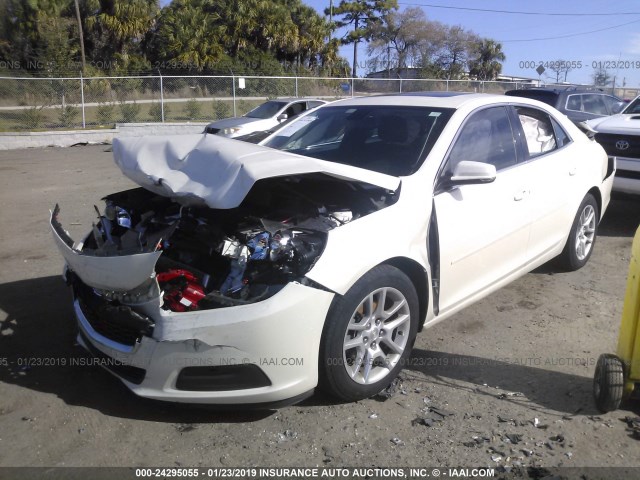 1G11C5SL9EF221805 - 2014 CHEVROLET MALIBU 1LT 白色 照片 2