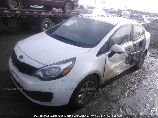 KNADM4A36E6340308 - 2014 KIA RIO LX WHITE photo 2