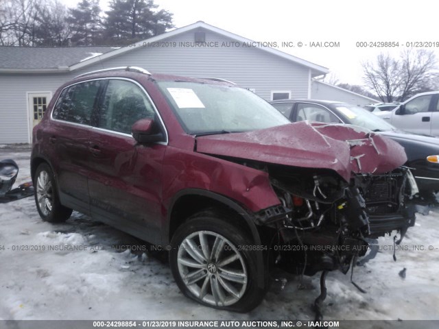 WVGBV75NX9W546074 - 2009 VOLKSWAGEN TIGUAN SE/SEL RED photo 1