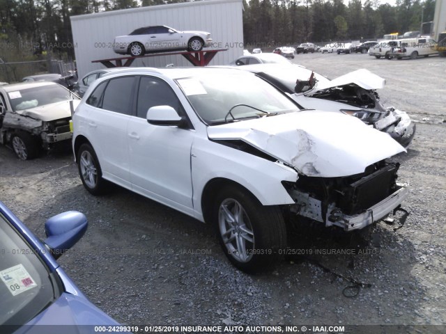 WA1WGAFP7DA037816 - 2013 AUDI Q5 PRESTIGE WHITE photo 1