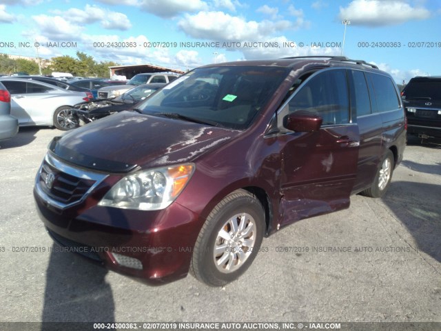 5FNRL38749B003578 - 2009 HONDA ODYSSEY EXL MAROON photo 2