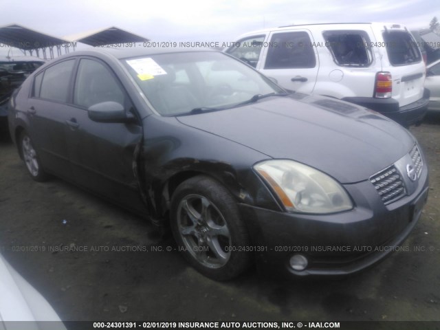 1N4BA41E35C817269 - 2005 NISSAN MAXIMA SE/SL GRAY photo 1