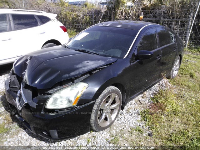 1N4BA41E77C857759 - 2007 NISSAN MAXIMA SE/SL BLACK photo 2