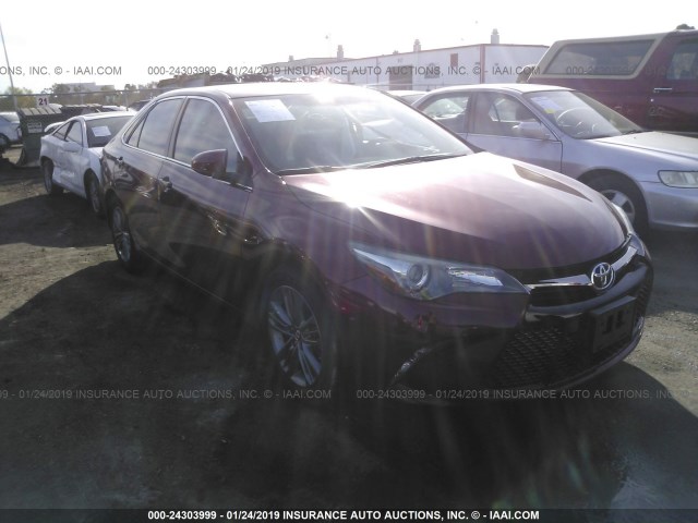 4T1BF1FK2GU585572 - 2016 TOYOTA CAMRY LE/XLE/SE/XSE RED photo 1