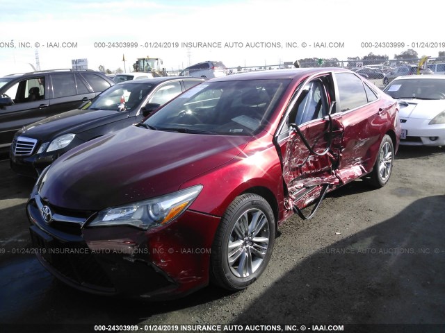 4T1BF1FK2GU585572 - 2016 TOYOTA CAMRY LE/XLE/SE/XSE RED photo 2