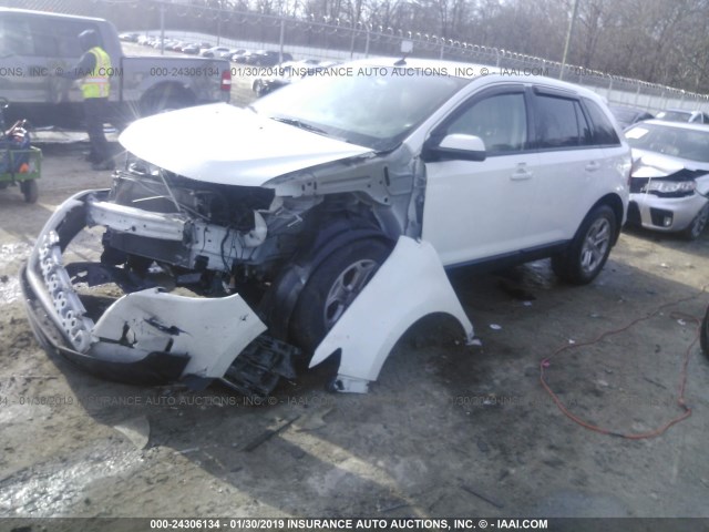 2FMDK3JC9DBC10764 - 2013 FORD EDGE SEL WHITE photo 2