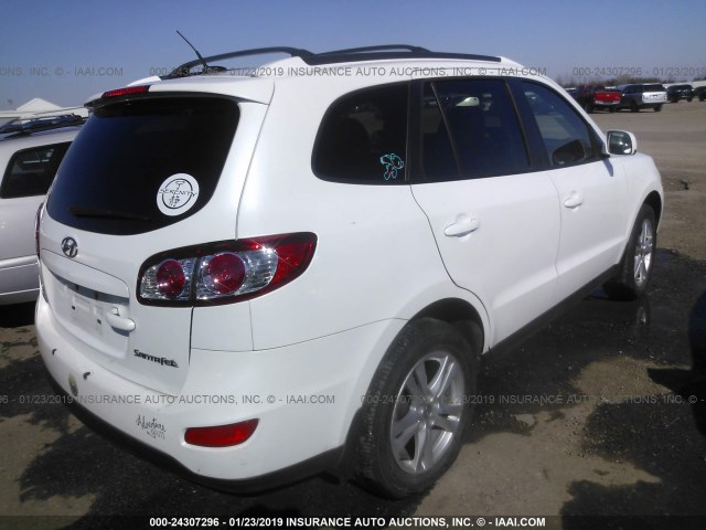 5XYZH4AG4BG031140 - 2011 HYUNDAI SANTA FE SE WHITE photo 4