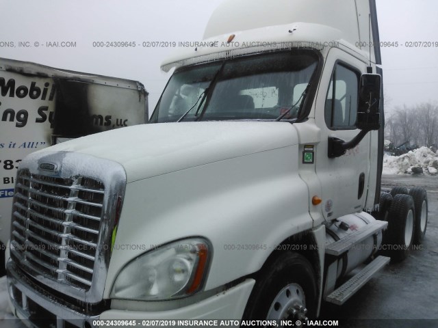 1FUJGEDV2CSBP4076 - 2012 FREIGHTLINER CASCADIA 125  WHITE photo 2