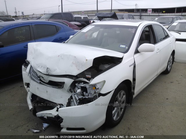 JTNBB46K773016672 - 2007 TOYOTA CAMRY NEW GENERAT HYBRID WHITE photo 2