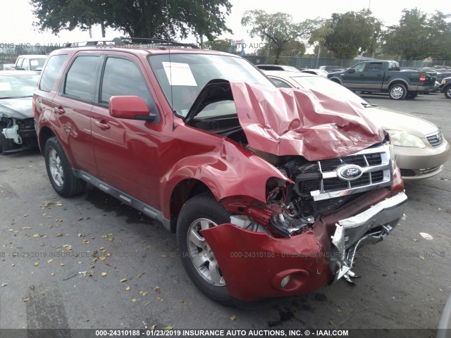 1FMCU0E70AKA29278 - 2010 FORD ESCAPE LIMITED RED photo 1