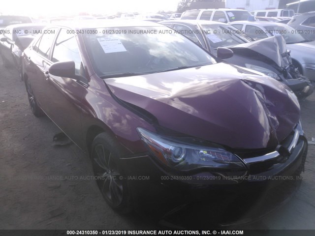 4T1BF1FK4HU691572 - 2017 TOYOTA CAMRY LE/XLE/SE/XSE წითელი ფოტო 1