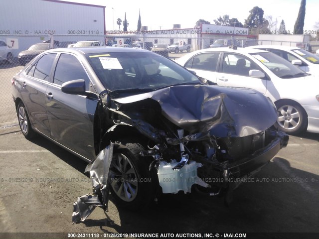 4T4BF1FK2GR575338 - 2016 TOYOTA CAMRY LE/XLE/SE/XSE GRAY photo 1
