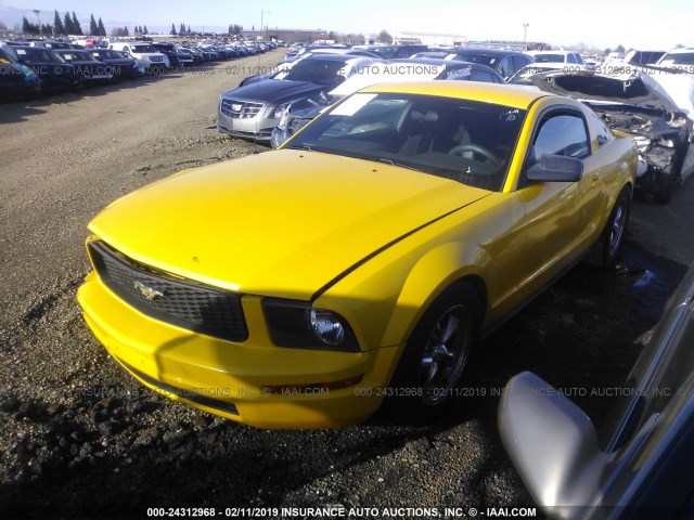 1ZVFT80N555145361 - 2005 FORD MUSTANG YELLOW photo 2