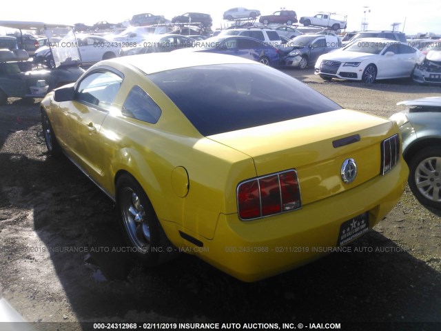 1ZVFT80N555145361 - 2005 FORD MUSTANG YELLOW photo 3