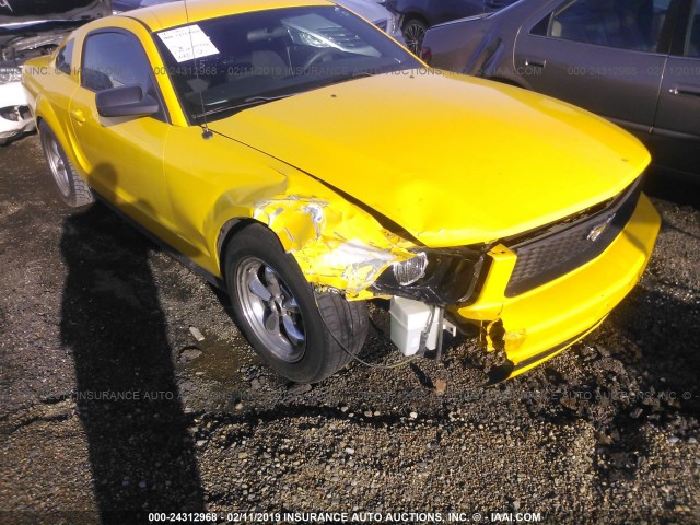 1ZVFT80N555145361 - 2005 FORD MUSTANG YELLOW photo 6