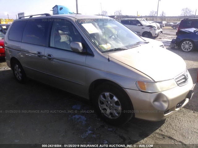 5FNRL18912B030040 - 2002 HONDA ODYSSEY EXL GOLD photo 1