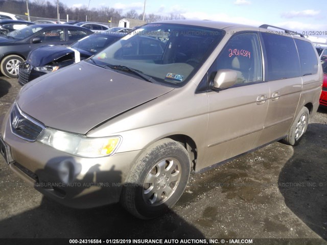 5FNRL18912B030040 - 2002 HONDA ODYSSEY EXL GOLD photo 2