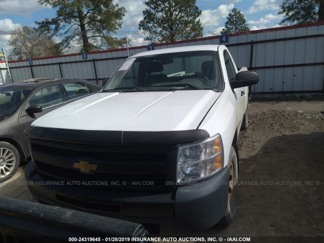 1GCNCPE09CZ303955 - 2012 CHEVROLET SILVERADO C1500 WHITE photo 6