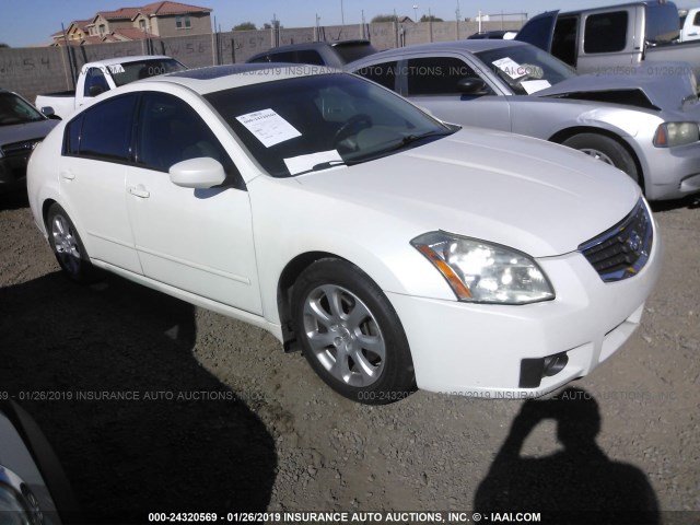 1N4BA41E58C819285 - 2008 NISSAN MAXIMA SE/SL WHITE photo 1