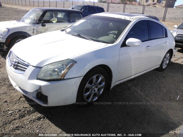 1N4BA41E58C819285 - 2008 NISSAN MAXIMA SE/SL WHITE photo 2