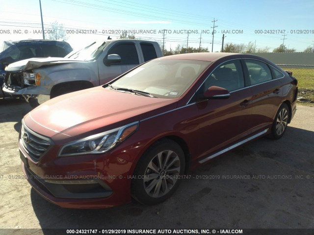 5NPE34AF1GH359118 - 2016 HYUNDAI SONATA SPORT/LIMITED RED photo 2