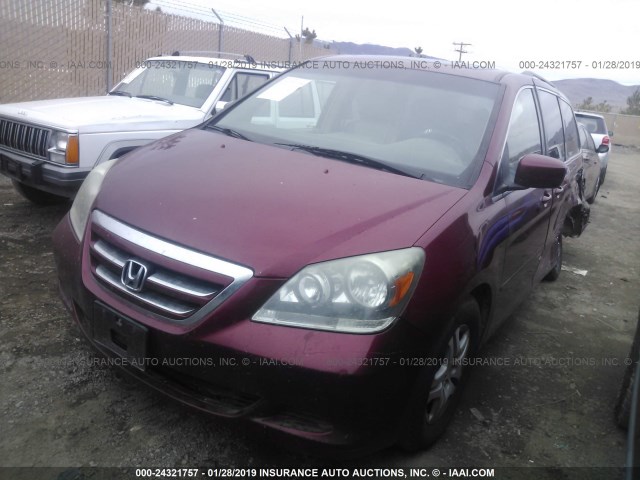 5FNRL38655B130521 - 2005 HONDA ODYSSEY EXL BURGUNDY photo 2