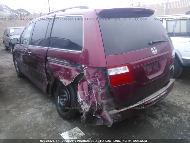 5FNRL38655B130521 - 2005 HONDA ODYSSEY EXL BURGUNDY photo 3