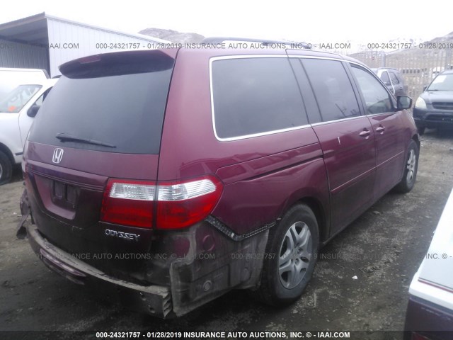 5FNRL38655B130521 - 2005 HONDA ODYSSEY EXL BURGUNDY photo 4