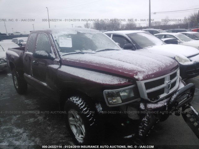 1D7RW3BK4BS661940 - 2011 DODGE DAKOTA SLT BURGUNDY photo 1