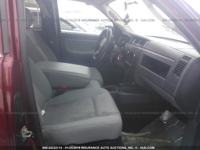 1D7RW3BK4BS661940 - 2011 DODGE DAKOTA SLT BURGUNDY photo 5