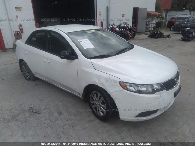 KNAFU4A27D5663481 - 2013 KIA FORTE EX WHITE photo 1