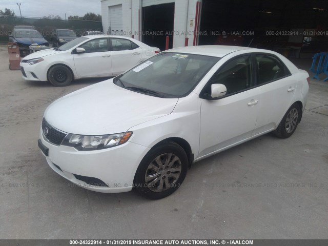 KNAFU4A27D5663481 - 2013 KIA FORTE EX WHITE photo 2