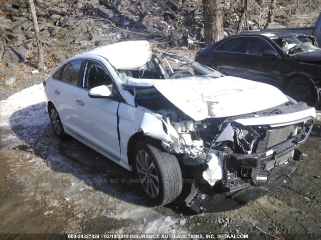 5NPE34AF9FH064671 - 2015 HYUNDAI SONATA SPORT/LIMITED WHITE photo 1