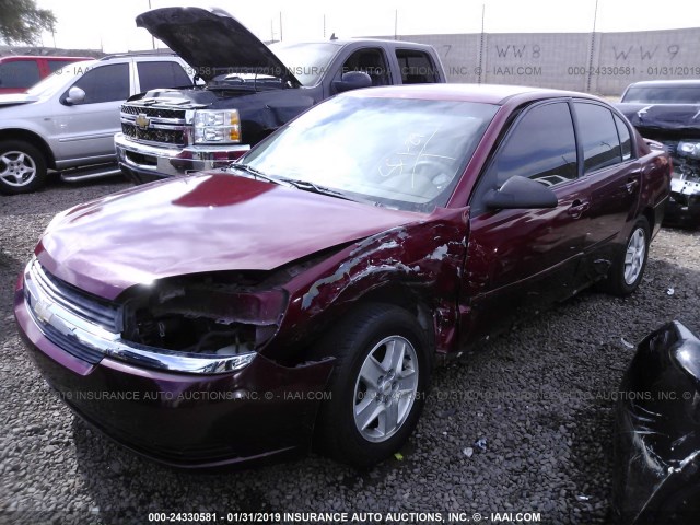 1G1ZT54805F221526 - 2005 CHEVROLET MALIBU LS RED photo 2