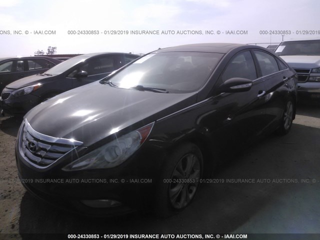 5NPEC4AC1BH152131 - 2011 HYUNDAI SONATA SE/LIMITED PURPLE photo 2