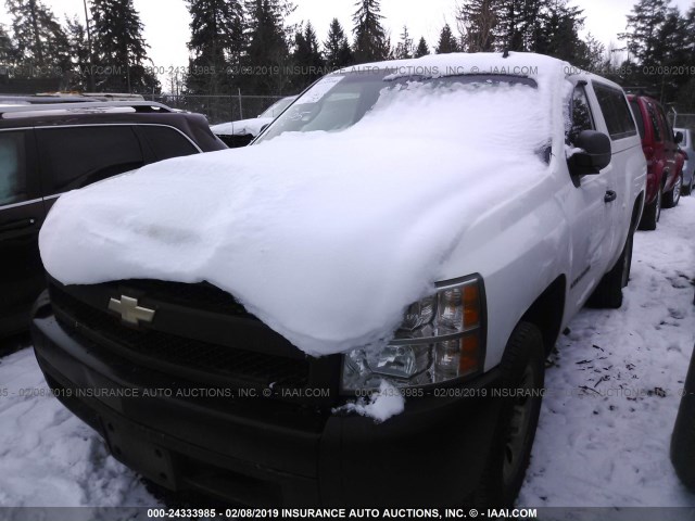 1GCEC14X38Z173657 - 2008 CHEVROLET SILVERADO C1500 WHITE photo 2