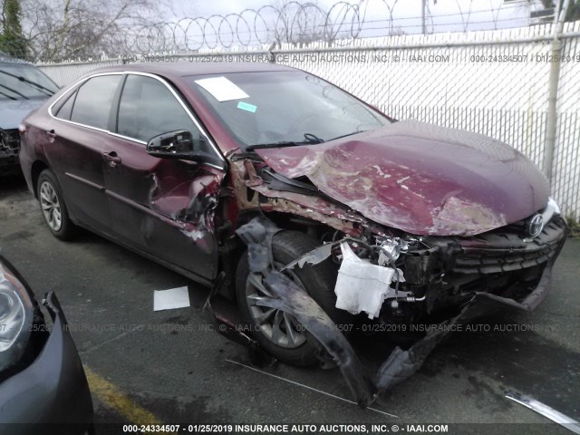 4T1BF1FK6GU541820 - 2016 TOYOTA CAMRY LE/XLE/SE/XSE RED photo 1