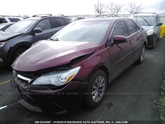 4T1BF1FK6GU541820 - 2016 TOYOTA CAMRY LE/XLE/SE/XSE RED photo 2