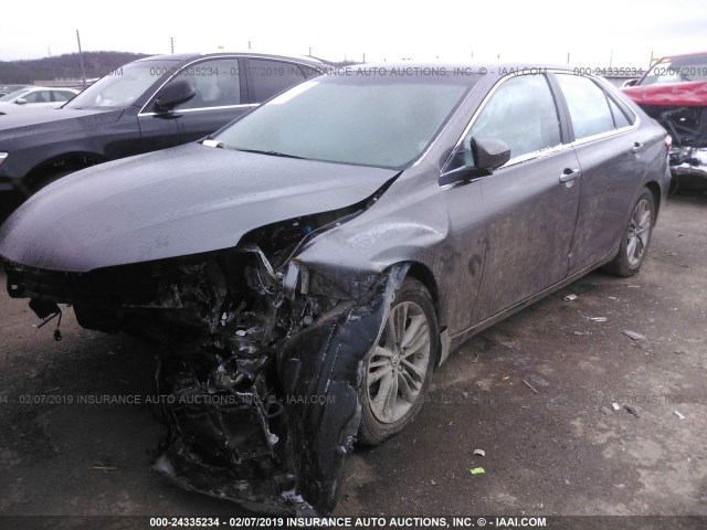 4T1BF1FK6HU295742 - 2017 TOYOTA CAMRY LE/XLE/SE/XSE GRAY photo 2