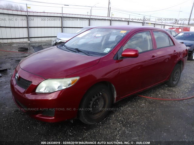 JTDBL40E09J052061 - 2009 TOYOTA COROLLA LE/XLE RED photo 2