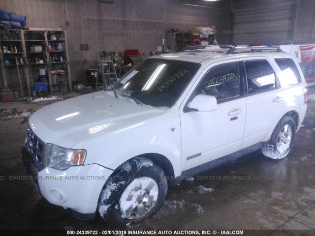 1FMCU04108KC66957 - 2008 FORD ESCAPE LIMITED WHITE photo 2