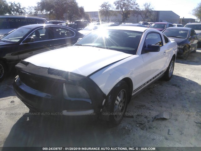 1ZVFT80N675267259 - 2007 FORD MUSTANG WHITE photo 2