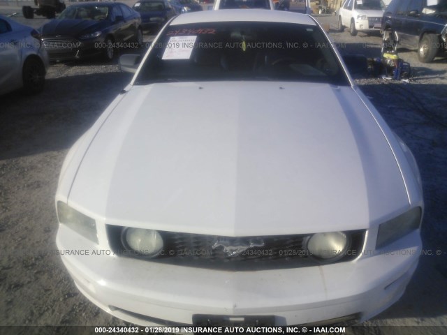 1ZVHT82H465119125 - 2006 FORD MUSTANG GT WHITE photo 6