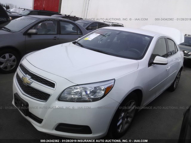 1G11C5SA9DF278924 - 2013 CHEVROLET MALIBU 1LT WHITE photo 2